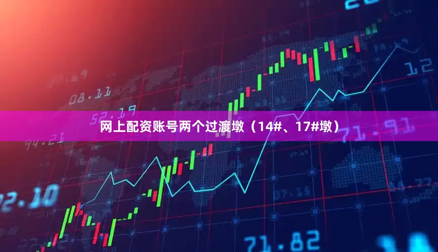 网上配资账号两个过渡墩（14#、17#墩）
